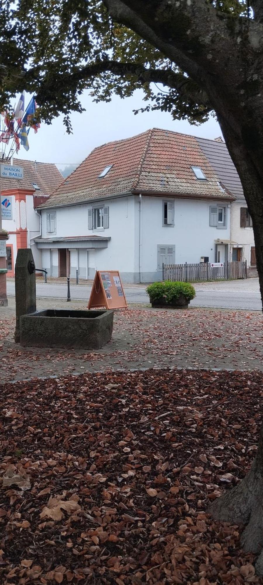 Apartamento Avec Privatif Saint-Amarin